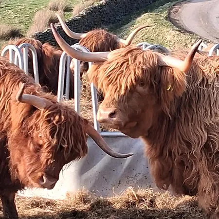 Cumbrian Cottage, Sleeps 6, In Convenient Location